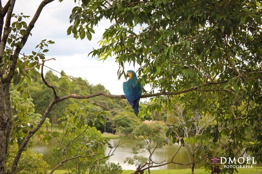 Pousada Fazenda Buracao Мокока Экстерьер фото